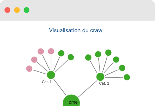 visualisation du crawl
